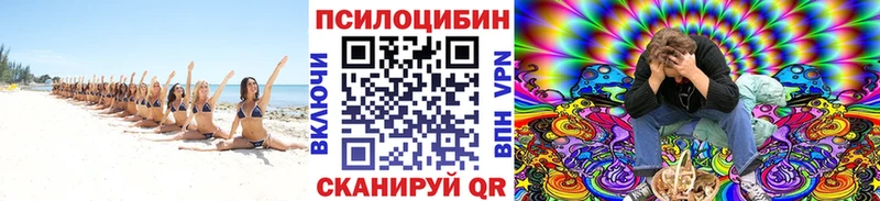 Галлюциногенные грибы MAGIC MUSHROOMS  Переславль-Залесский 
